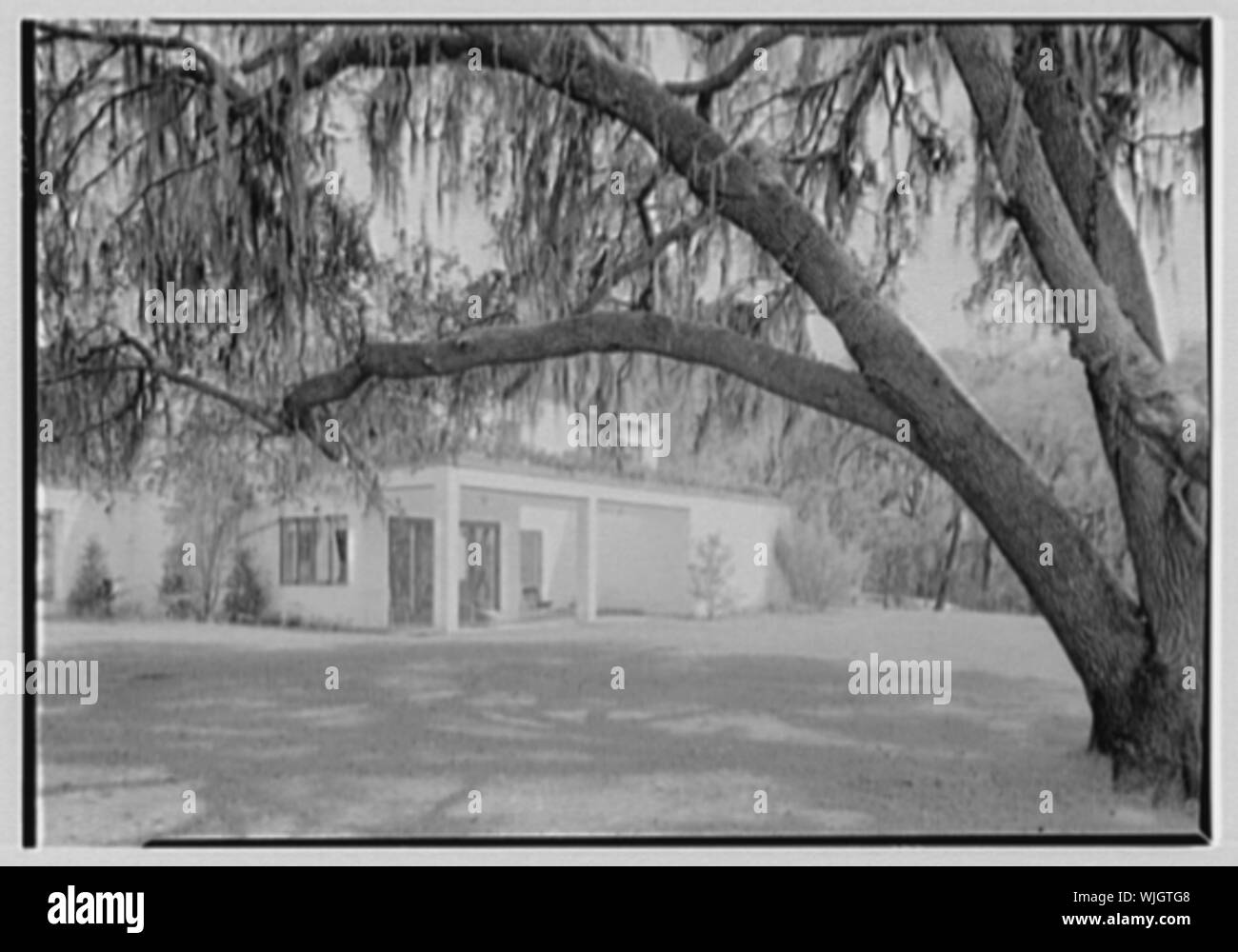 Henry R. Luce, Mepkin Plantation, résidence à Moncks coins, en Caroline du Sud. Banque D'Images