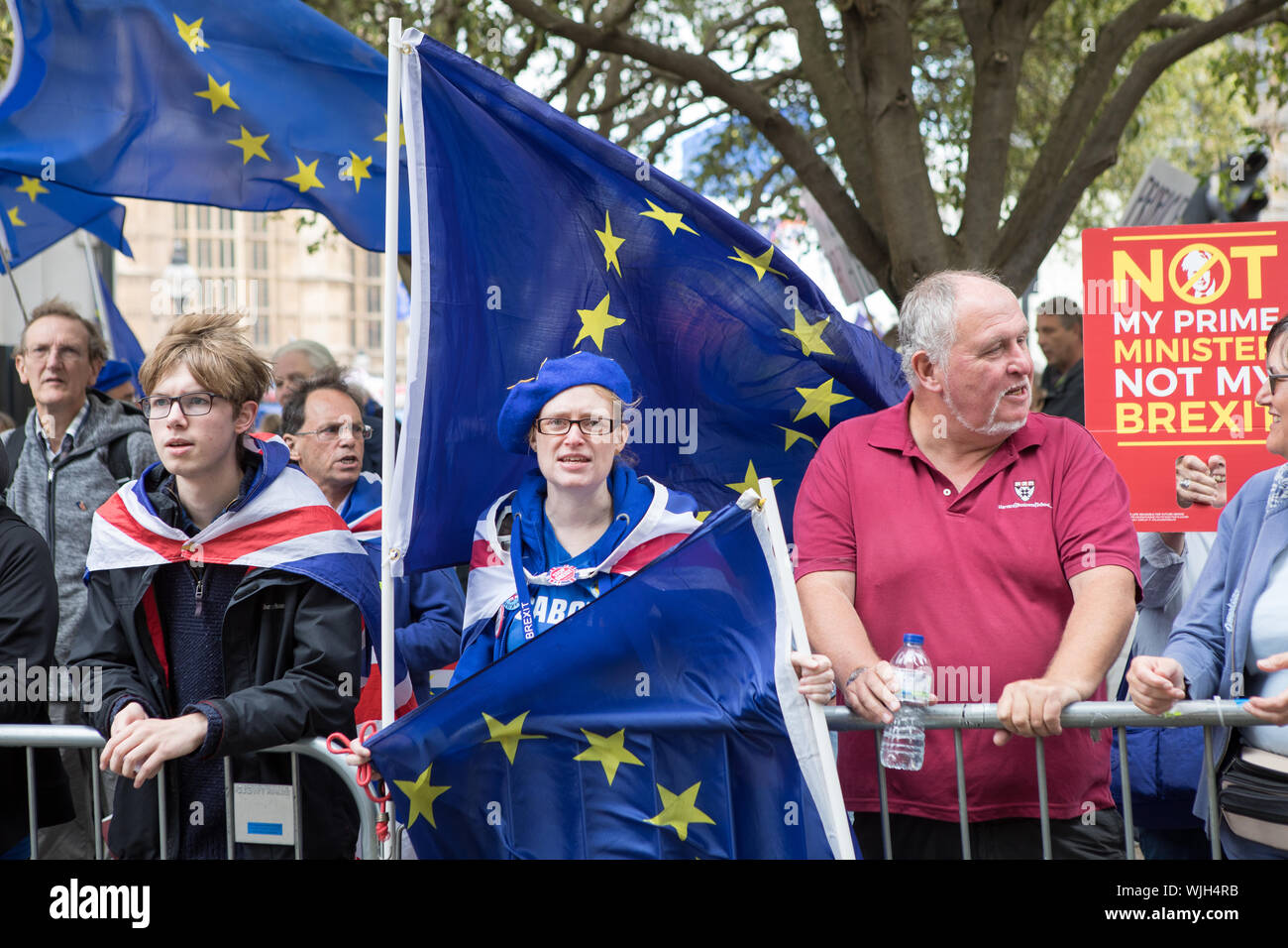 College Green, Londres, Royaume-Uni. 3 septembre 2019. En face de la démontrer manifestants restent communes. Le premier ministre, Boris Jonson fait face à une rébellion de députés conservateurs supérieurs sur des plans pour bloquer efficacement l'UK La sortie de l'UE sans un accord le 31 octobre. Les Conservateurs rebelles d'une motion au Parlement pour une nouvelle législation pour retarder l'Brexit jusqu'en janvier 2020. À moins que le gouvernement accepte de traiter une sortie ou un nouvel accord de retrait avec l'UE. Banque D'Images