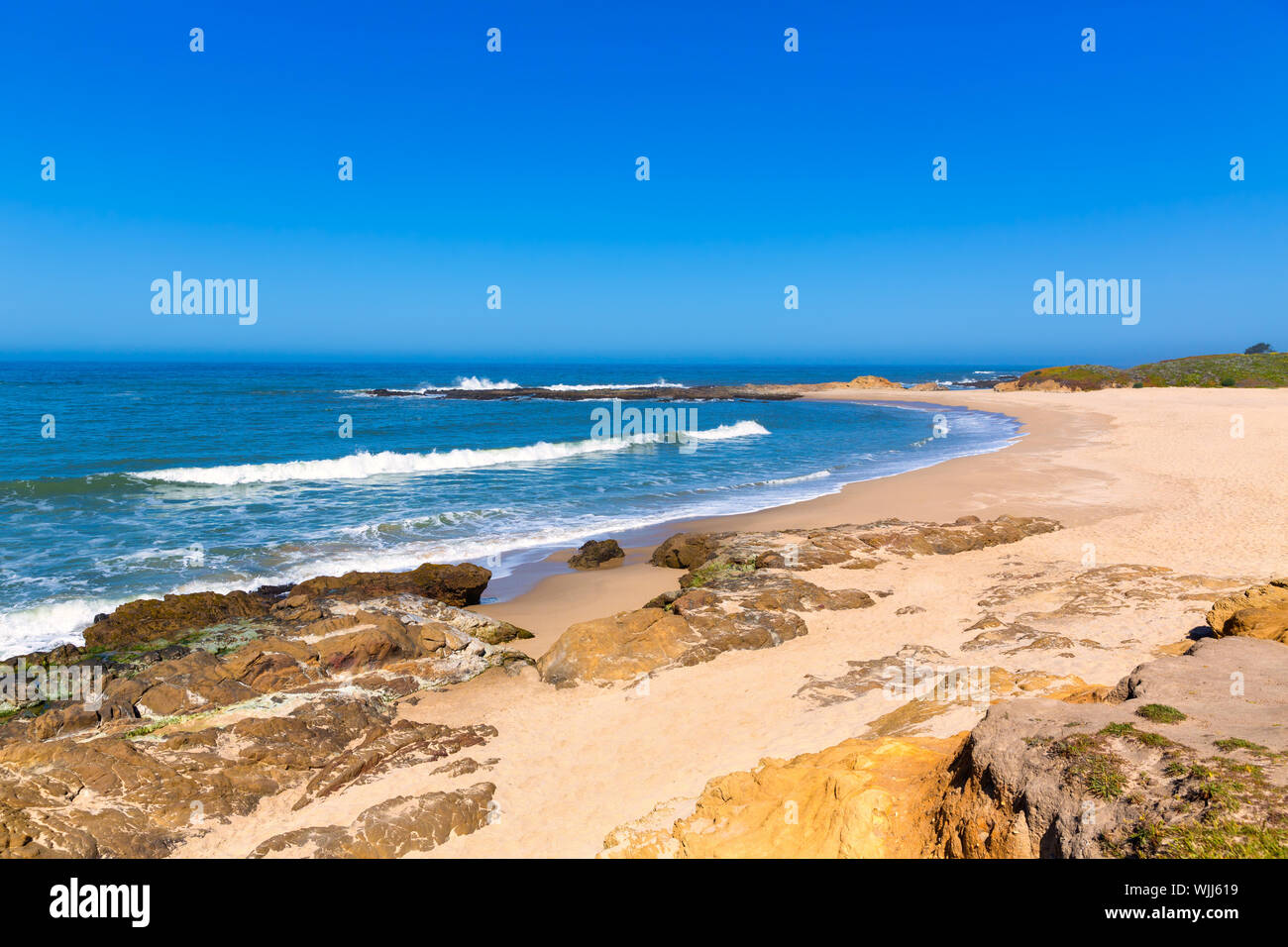 Plage d'État de Californie en creux Bean Cabrillo Highway sur la State Route 1 San Mateo Banque D'Images