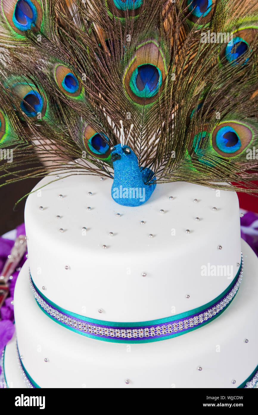 Gateau A Theme Avec Des Plumes De Paon Photo Stock Alamy