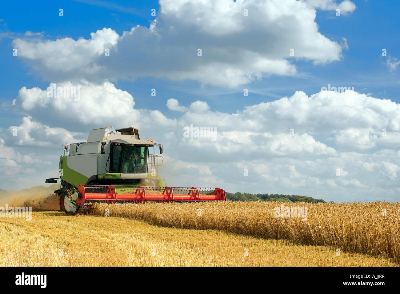 Les récoltes de blé mûr de moissonneuse-batteuse. Image Agriculture Banque D'Images