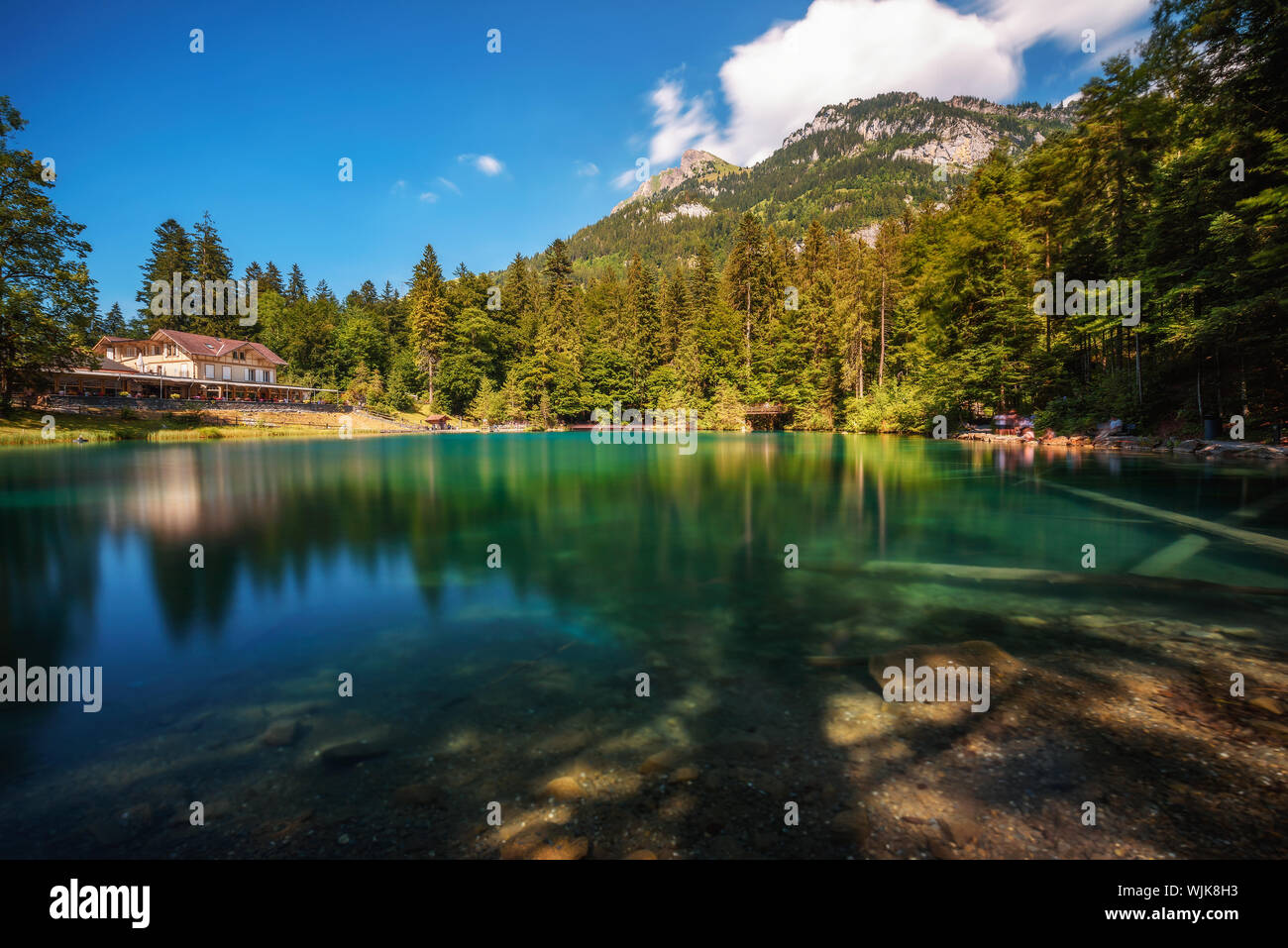 Blausee Lac de montagne dans la région Jungfrau de Suisse Banque D'Images