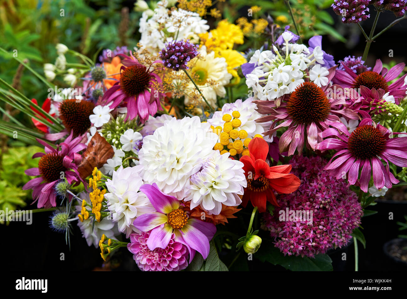 Les fleurs coupées à vendre Banque D'Images