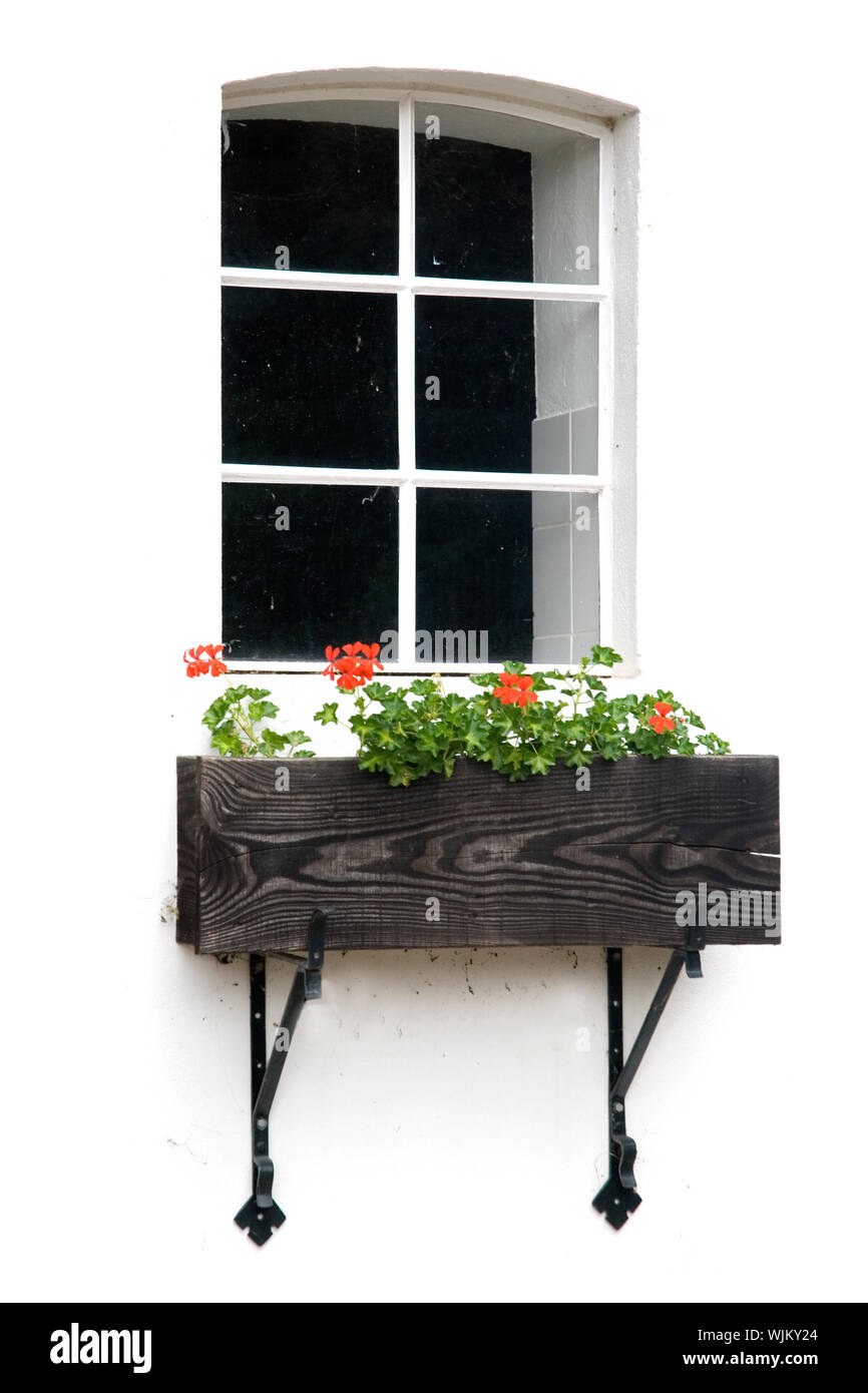 Fenêtre romantique sur fond blanc avec des géraniums Banque D'Images