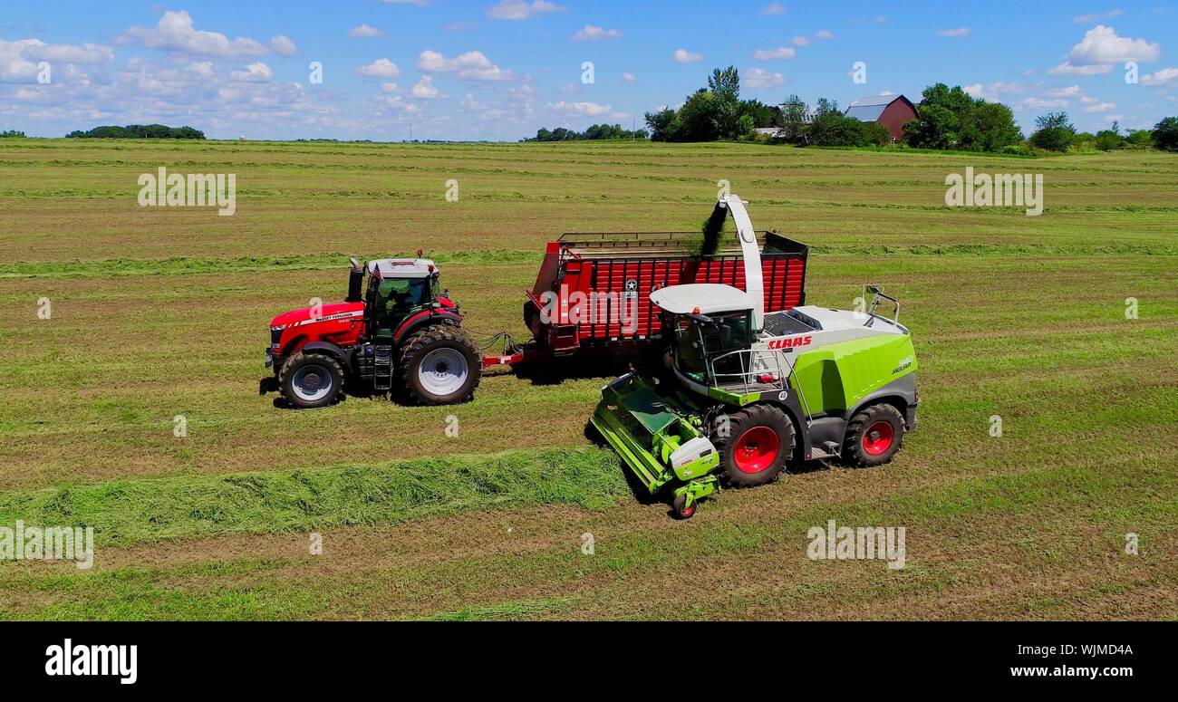 Vue aérienne de Massey Ferguson 1880 tracteur tirant charrette à foin, avec l'Ensileuse Claas Jaguar 940 sur les champ de luzerne Monroe, Wisconsin, États-Unis Banque D'Images