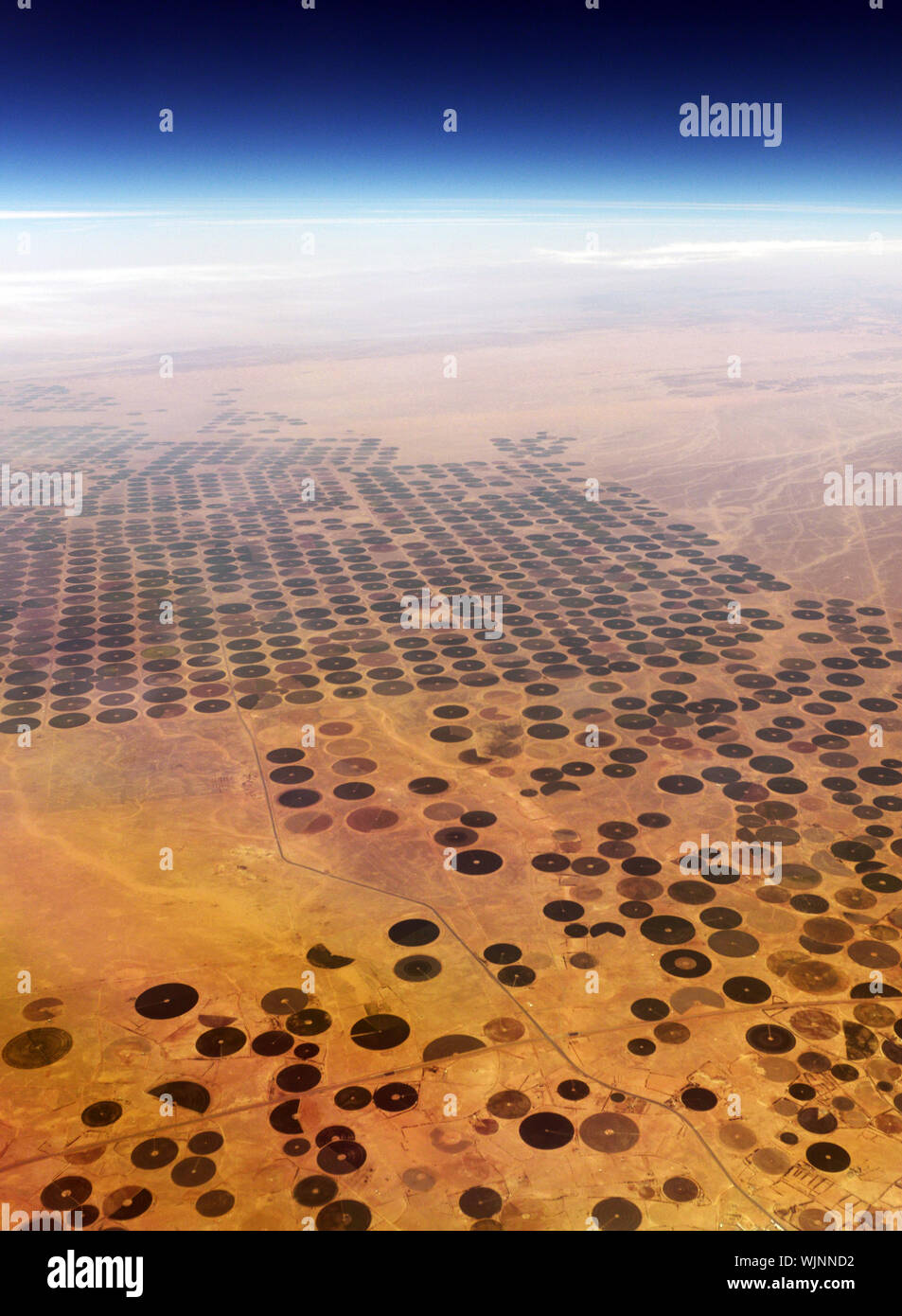 Vue aérienne de champs agriculture circulaire dans le désert d'Arabie dans les EAU. Banque D'Images