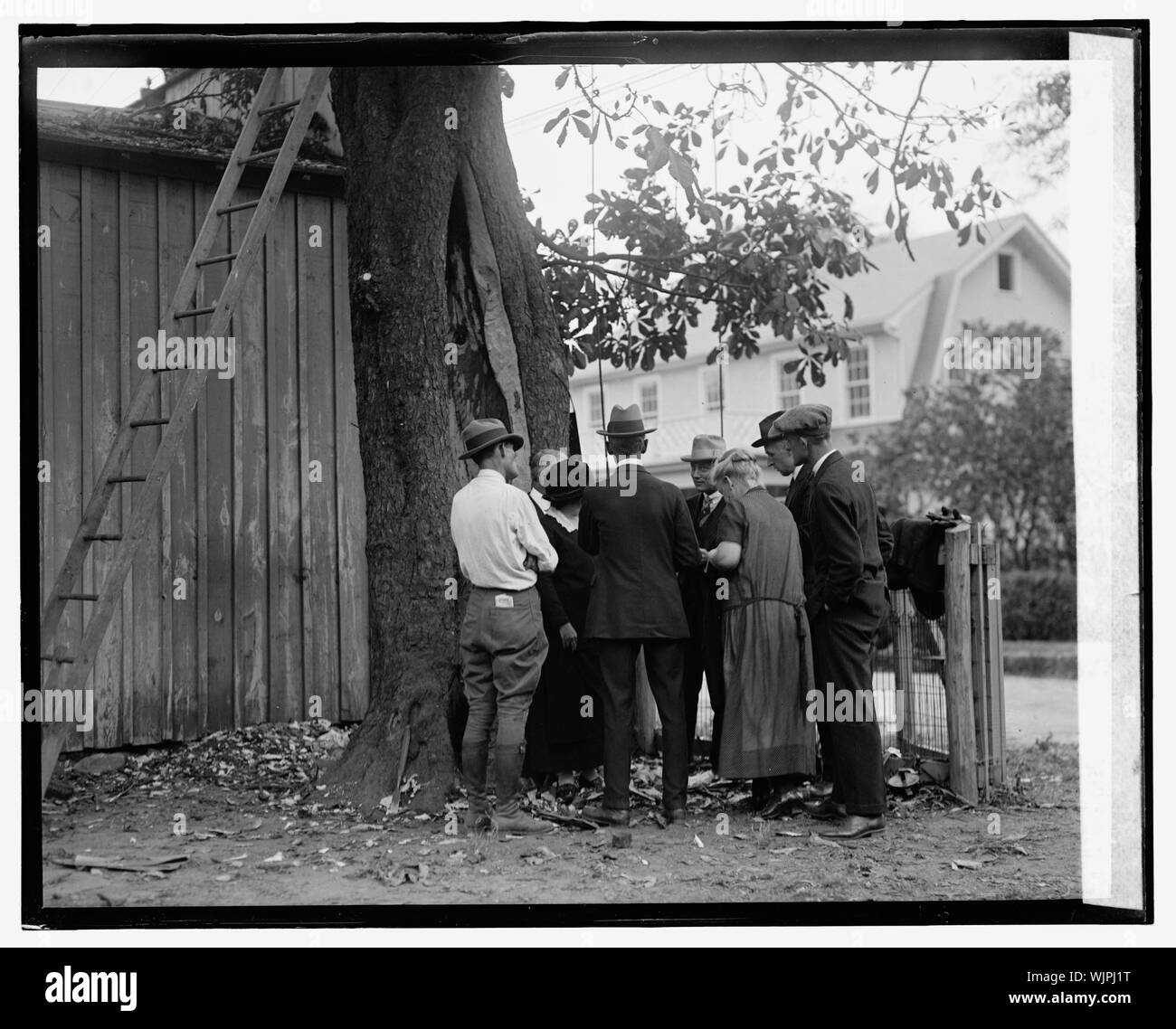 Le Marronnier d'arbre planté par Geo. Washington à Fredericksburg, en Virginie, 01/10/25 Banque D'Images