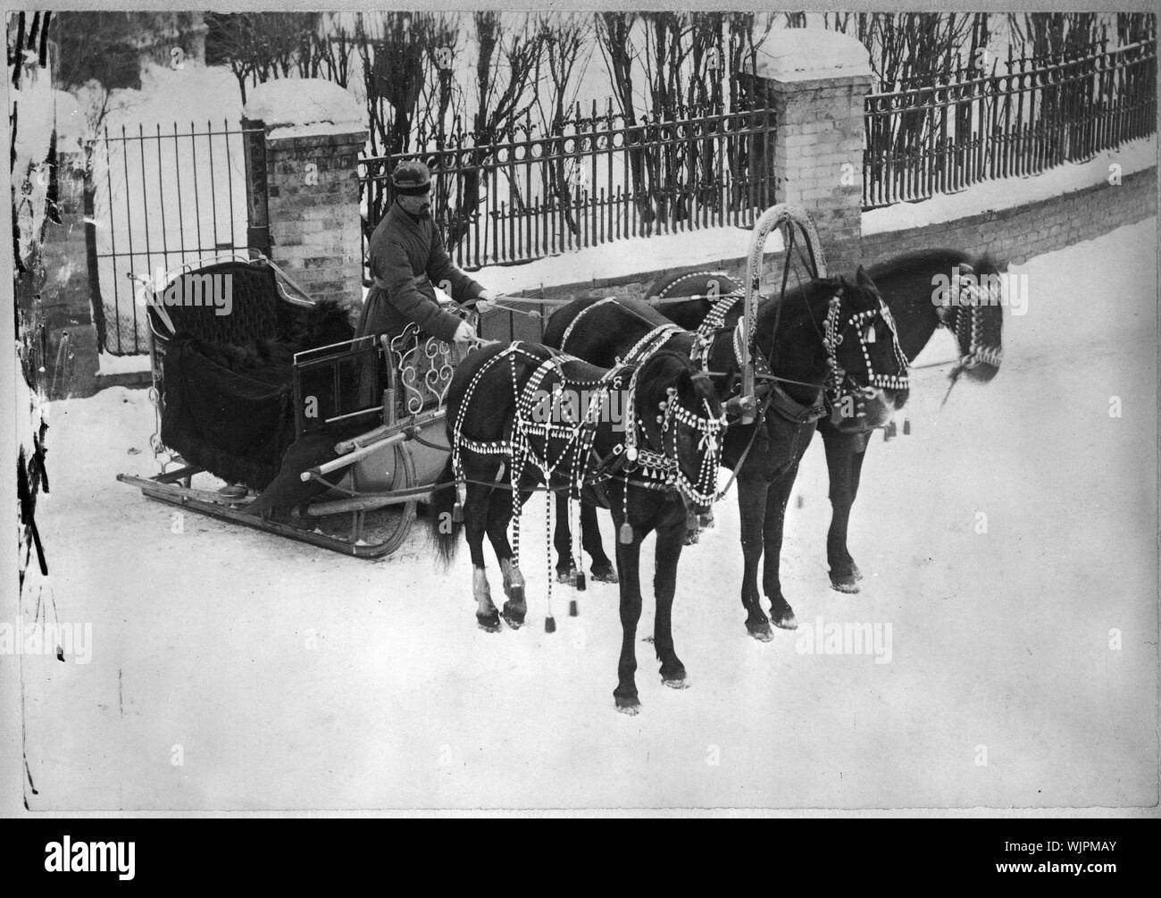 Carriole, en Russie Résumé : photo montre un homme debout, dans un traîneau troïka, tenant le rein attaché à une équipe de trois chevaux. Banque D'Images
