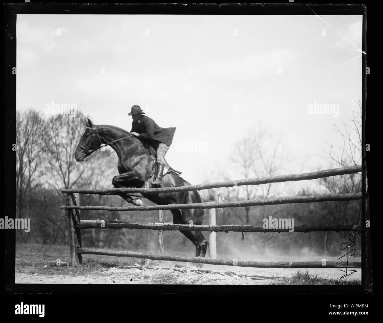Images Gratuites : Sauter, cheval, les chevaux, équitation, des sports
