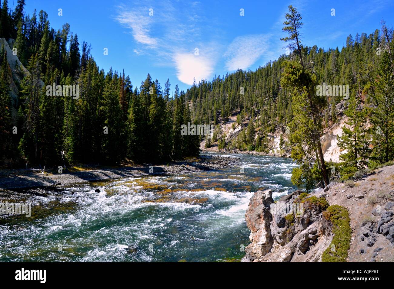 Vue panoramique de la forêt en cascade contre le ciel Banque D'Images