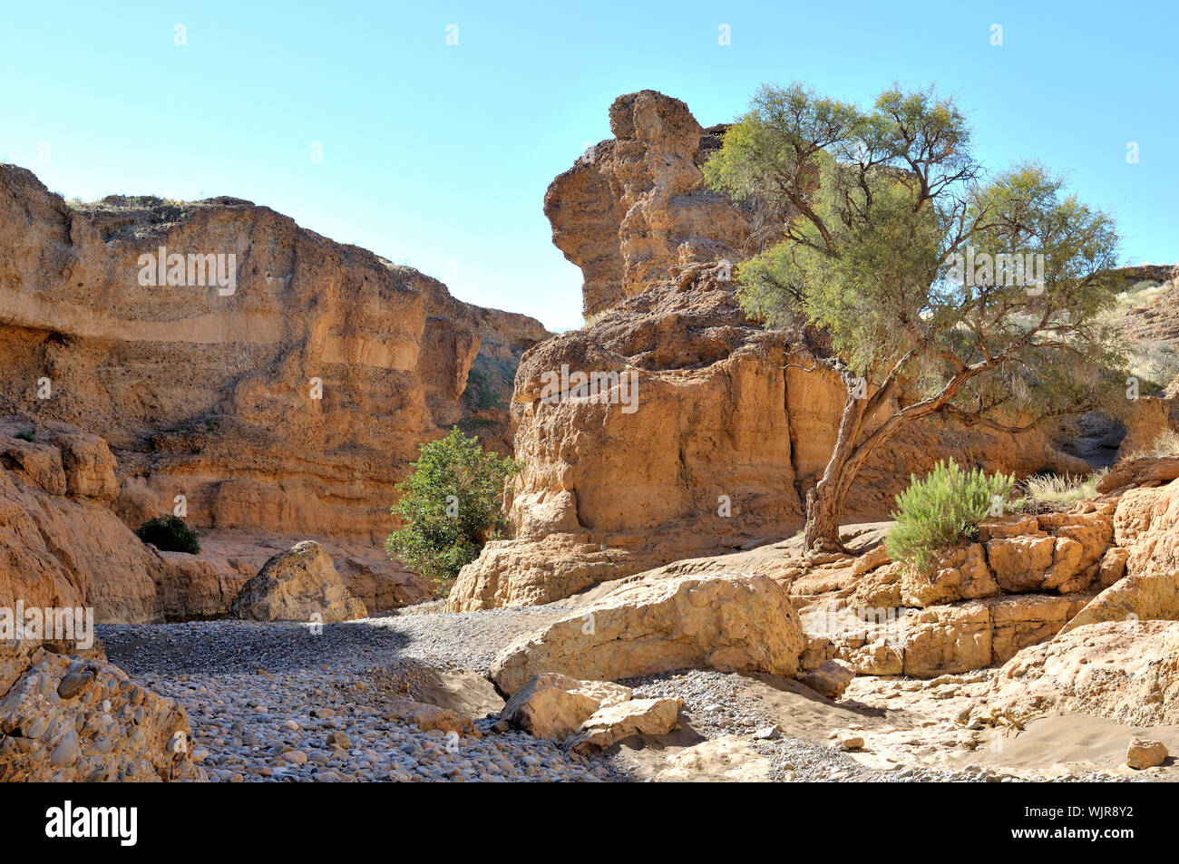 Le Canyon de Sesriem près de Sossusvlei en Namibie Banque D'Images