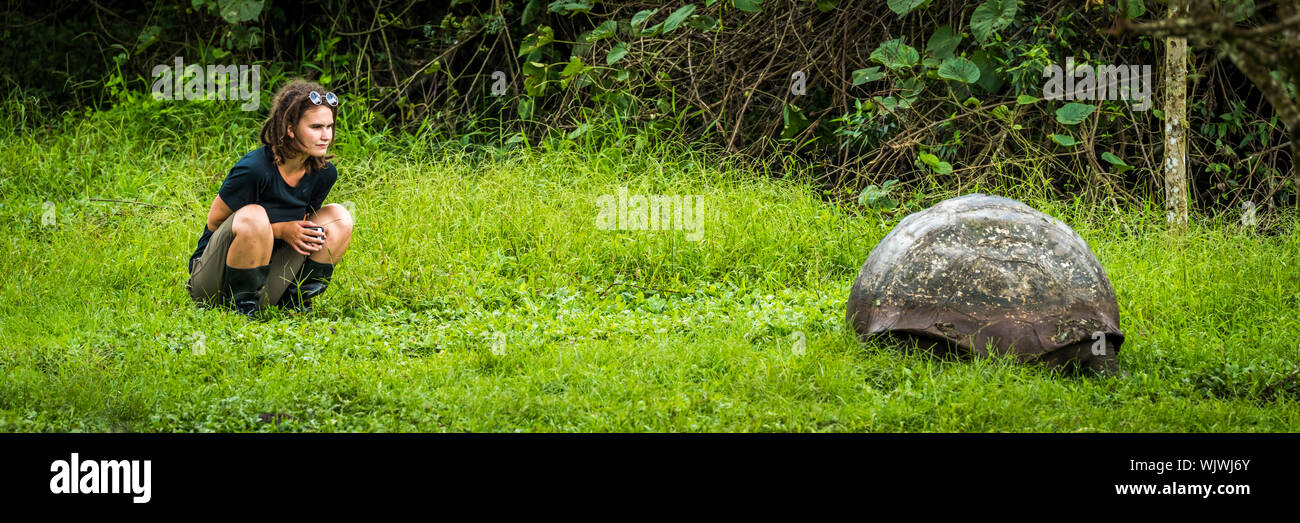 Jeune femme à la recherche de tortues géantes On Grassy Field Banque D'Images
