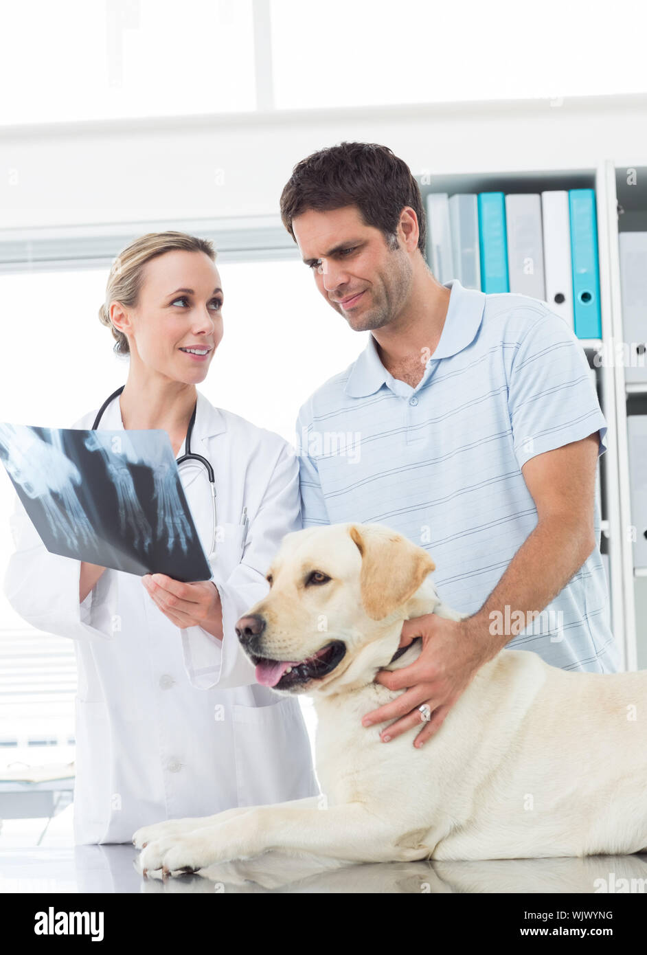 L'EFP femelle montrant Xray de chien pour les propriétaires d'animaux domestiques en clinique Banque D'Images