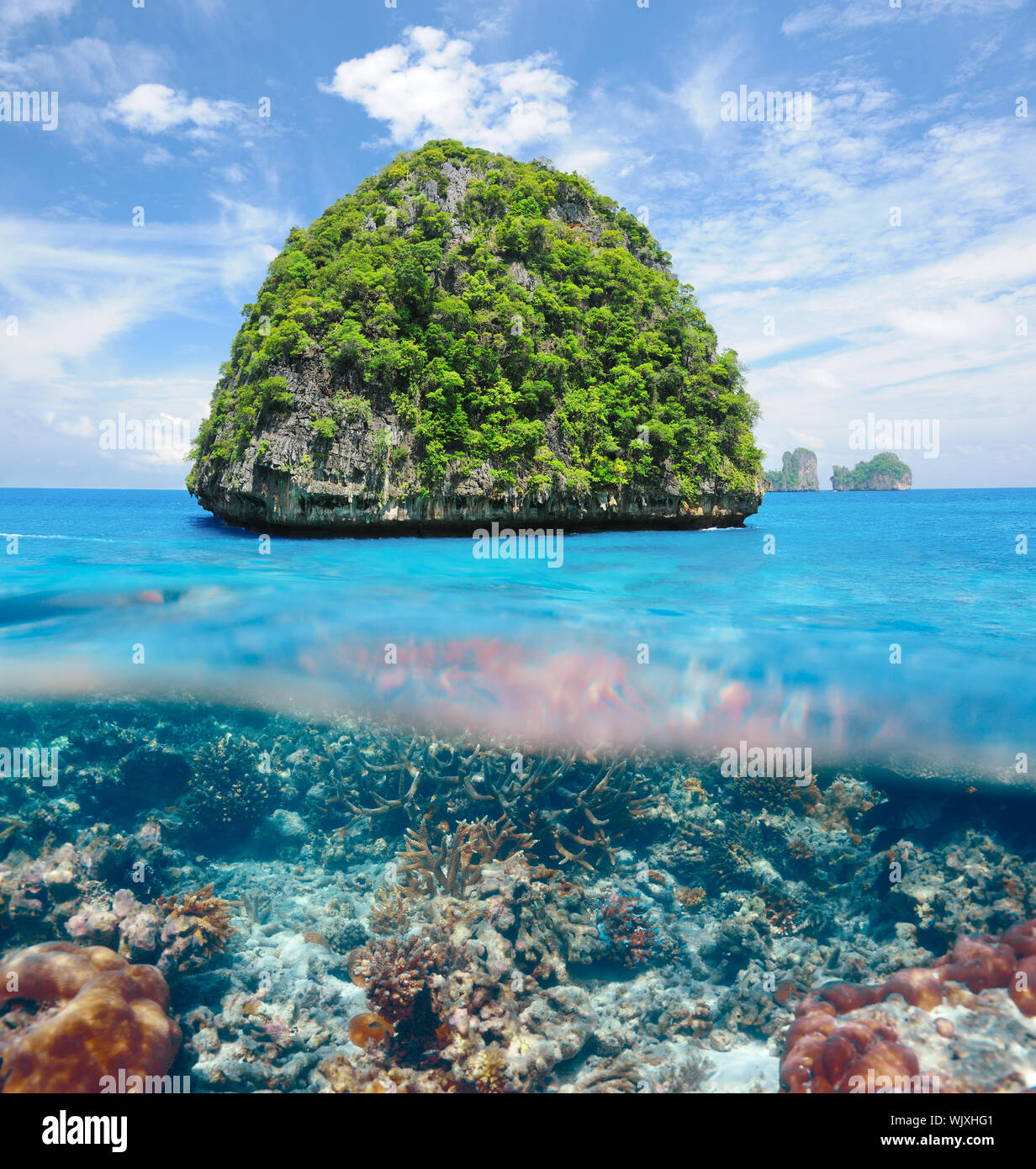 Belle île inhabitée en Thaïlande avec les récifs coralliens bas sous l'eau et au-dessus de l'eau vue fractionnée Banque D'Images