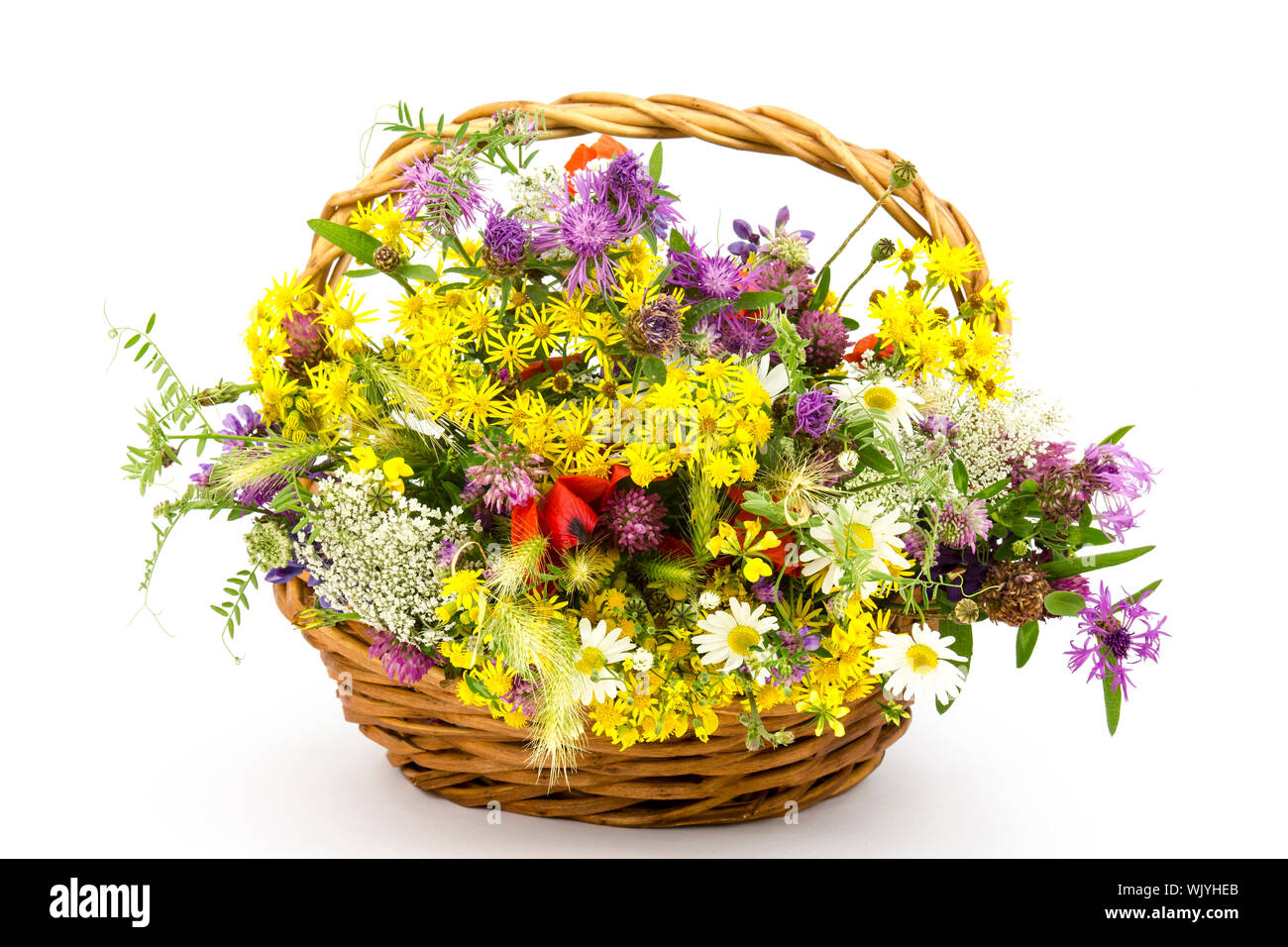 Fleurs sauvages dans un panier Banque D'Images