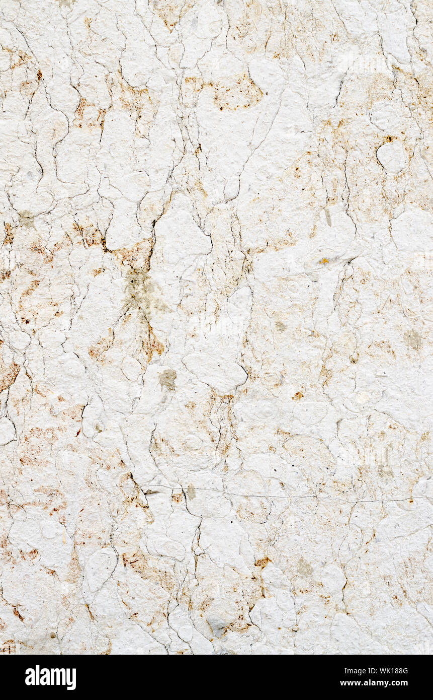 Libre de texture de fond texture calcaire. Banque D'Images