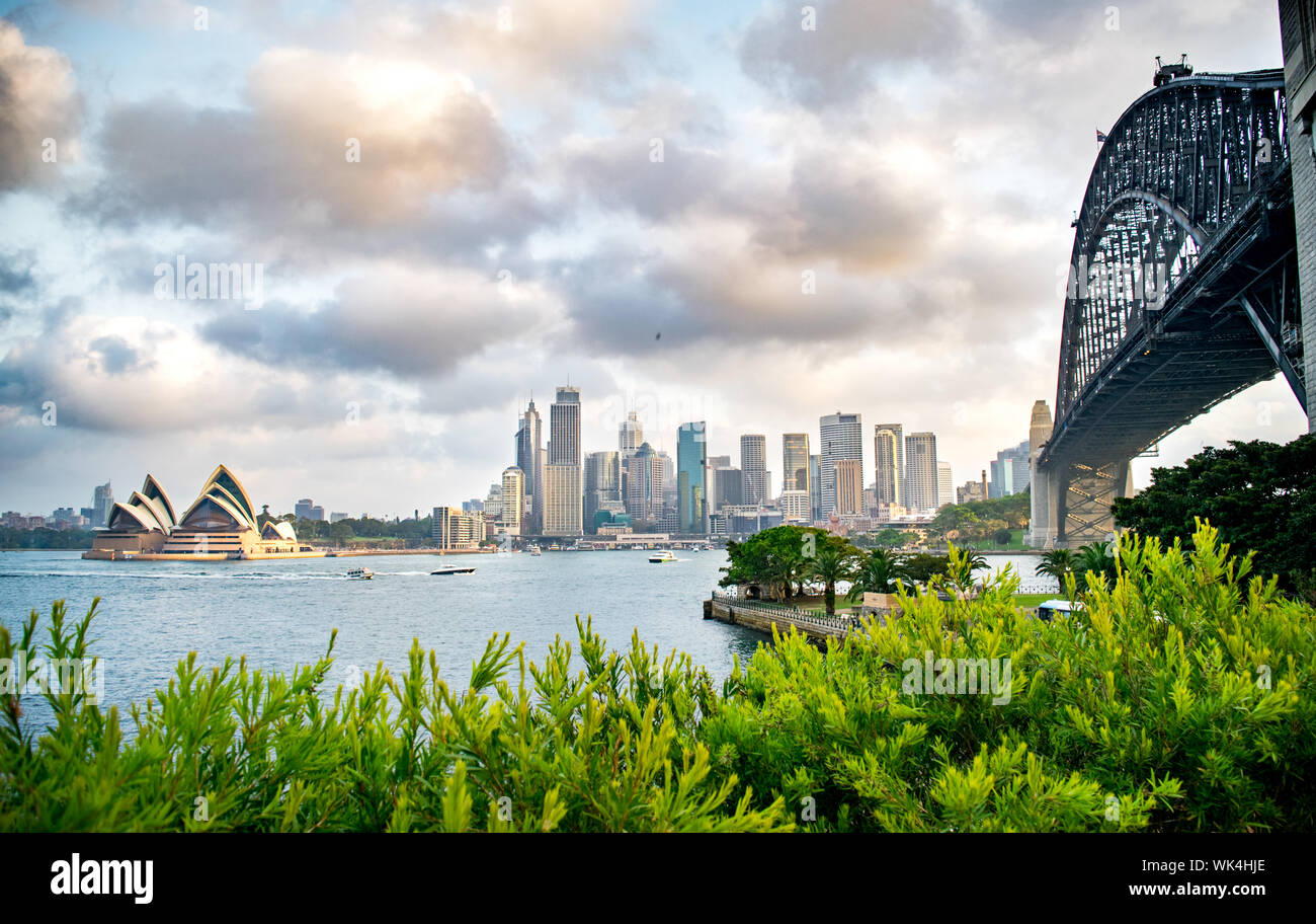 Plan large de Sydney Skyline, Milsons Point, Waterfront, Port, Sydney Harbour Bridge et l'Opéra, un soir d'été - Sydney, Australie Banque D'Images