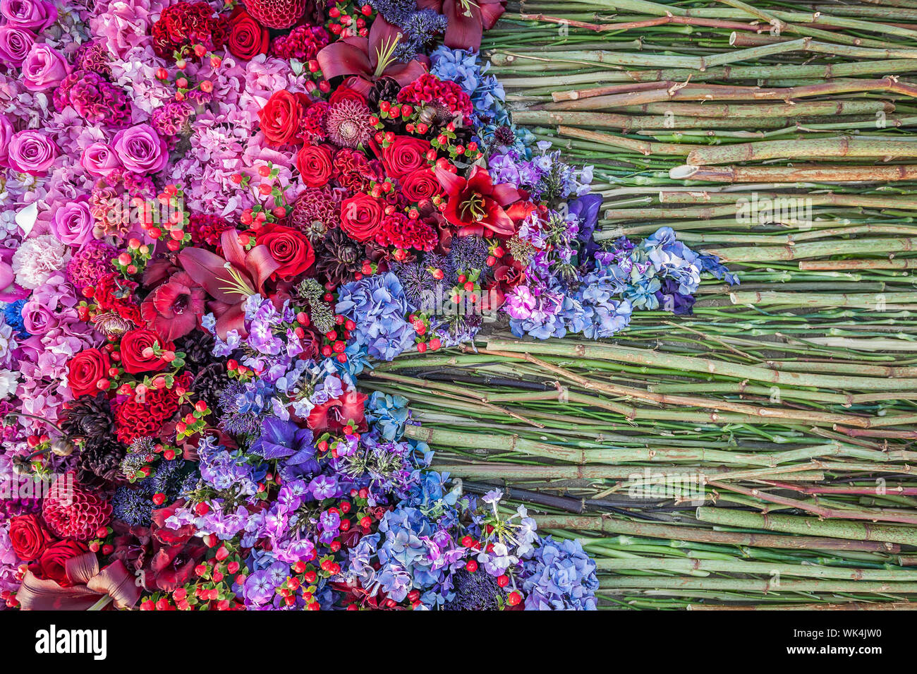 Fond de fleurs. Arrangement de fleurs de roses, œillets et les hortensias. Parterre, vue du dessus, copiez l'espace. Carte Gretting, carte postale. Banque D'Images