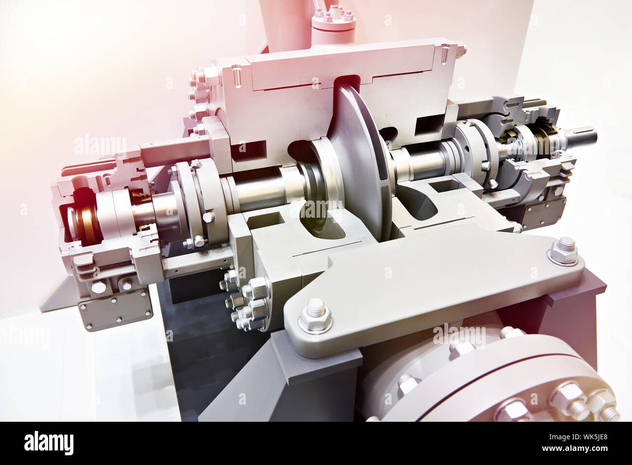 Support double pompe principale pour les produits pétroliers section transversale Banque D'Images