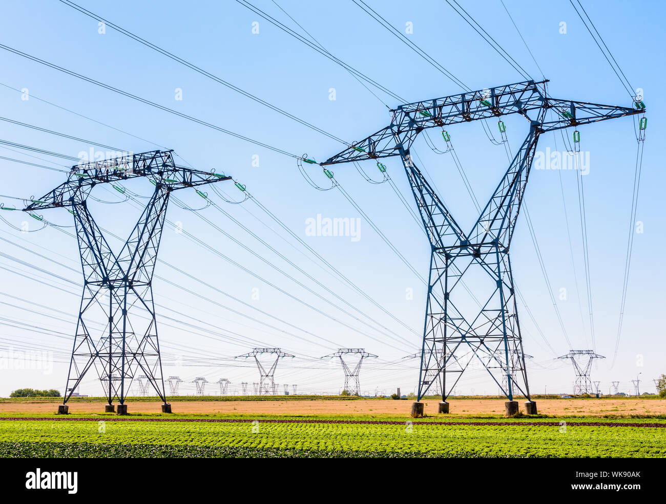Des dizaines de pylônes électriques dans la campagne française sous un ciel bleu clair. Banque D'Images