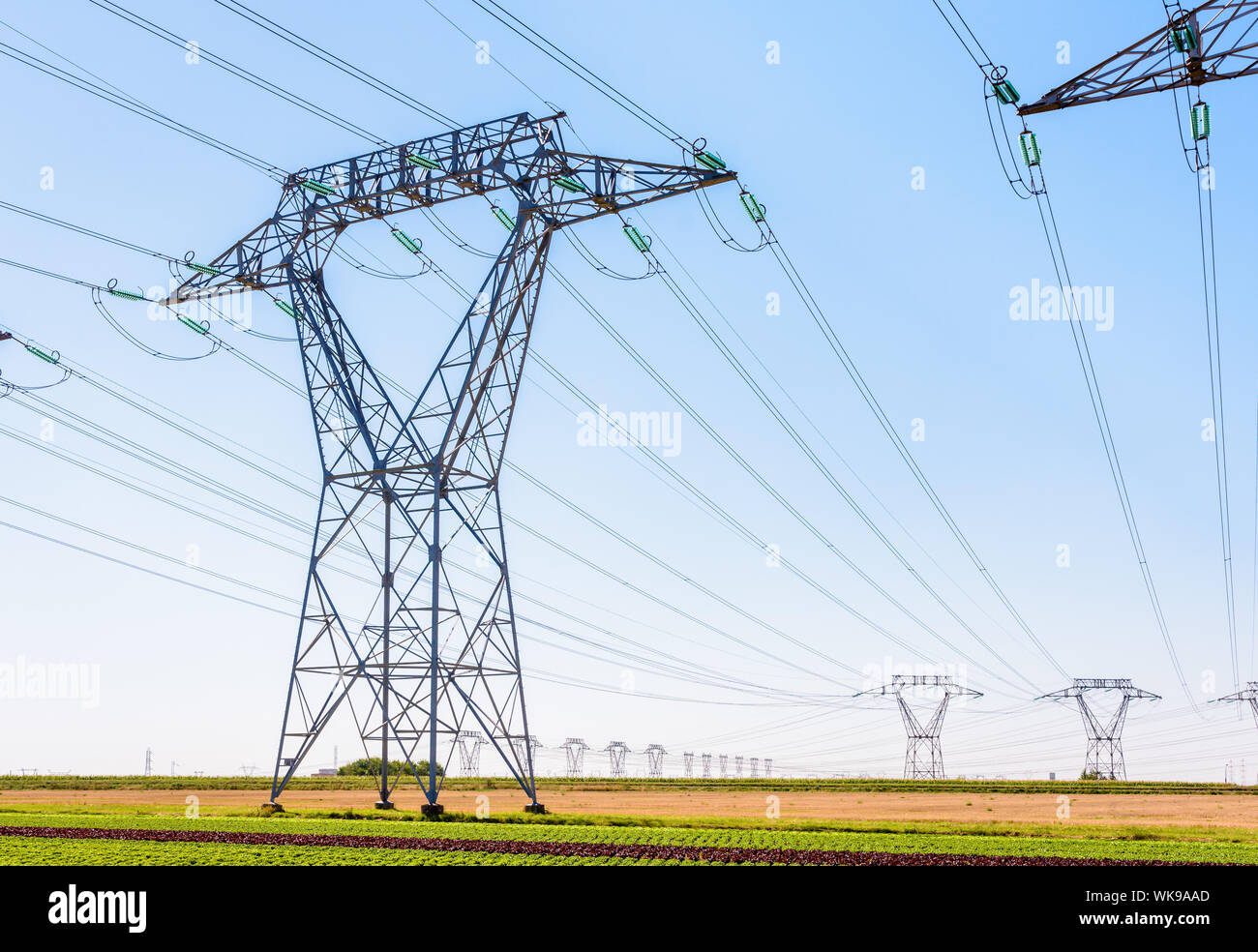 Des dizaines de pylônes électriques dans la campagne française sous un ciel bleu clair. Banque D'Images