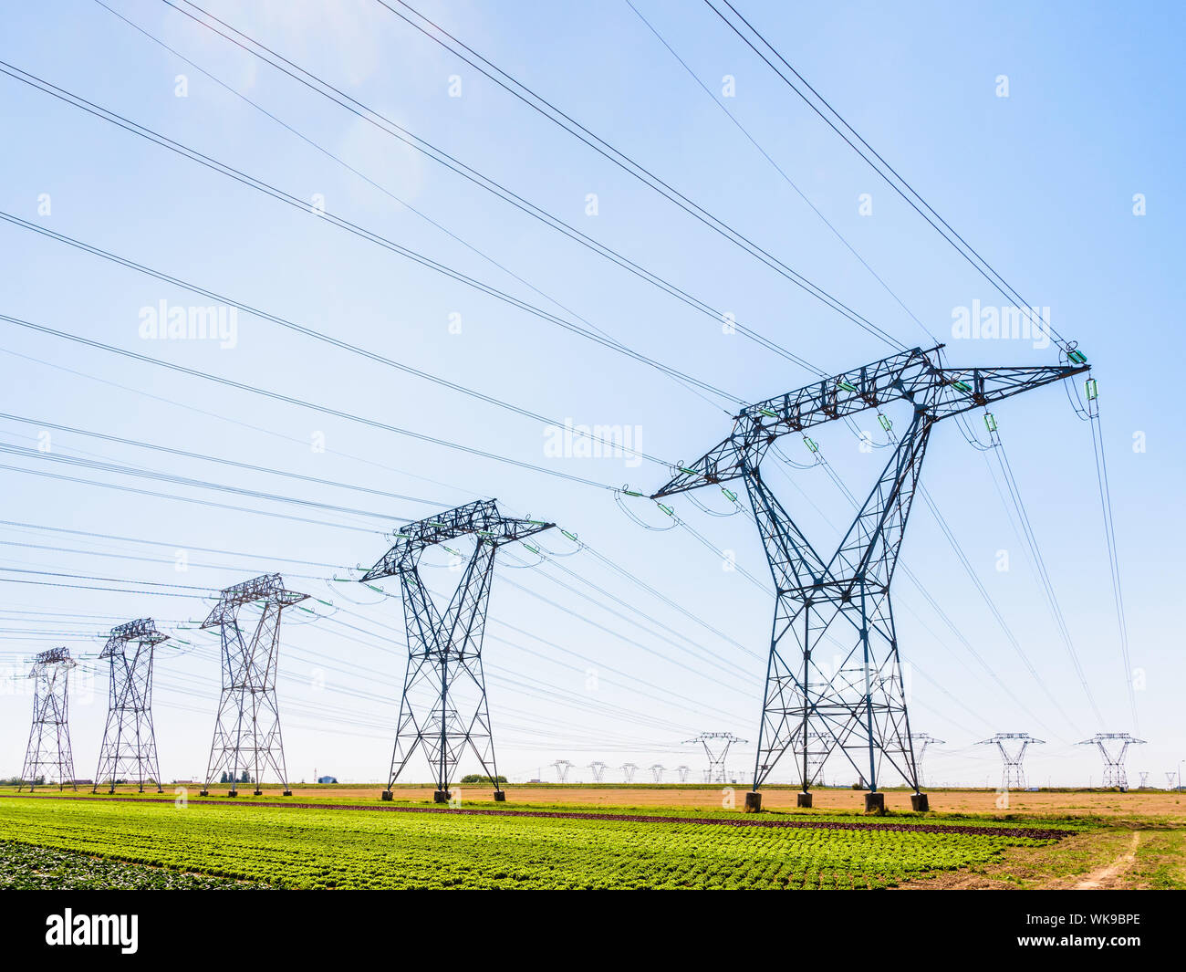 Des dizaines de pylônes électriques dans la campagne française sous un ciel bleu clair. Banque D'Images