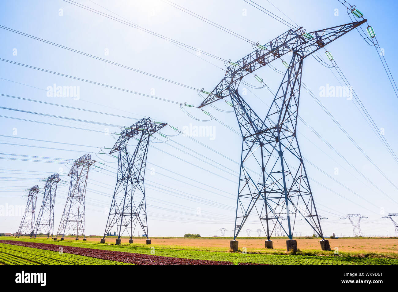 Des dizaines de tours de transmission dans la campagne française sous un ciel bleu clair. Banque D'Images