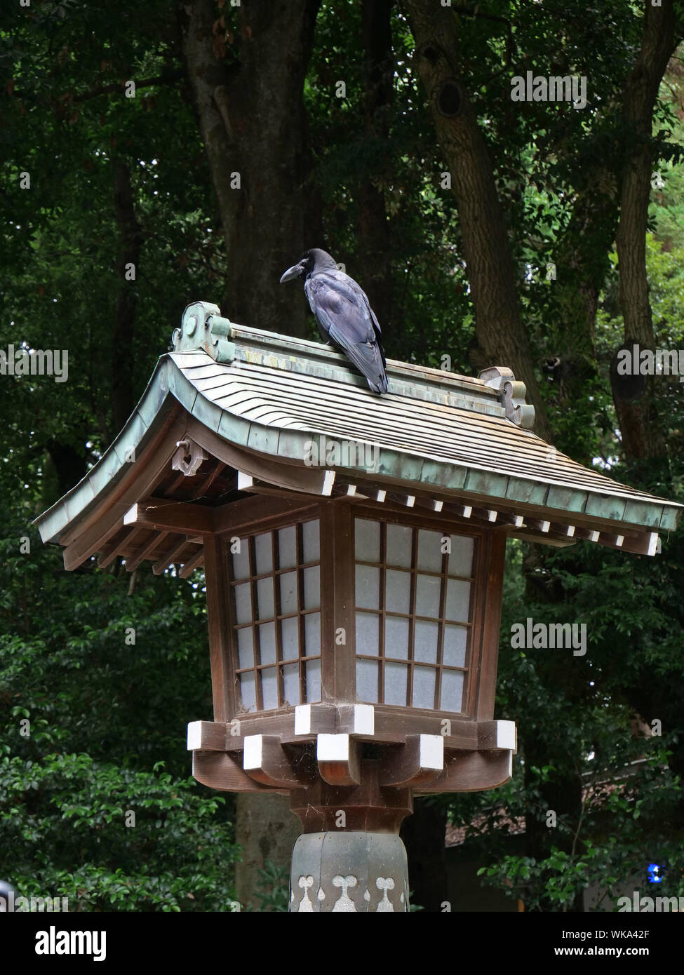 Japon - photo de Sean Sprague sanctuaire Shinto Meiji Jingu et jardins, Harajuku, Tokyo. Crow sur une lampe. Banque D'Images