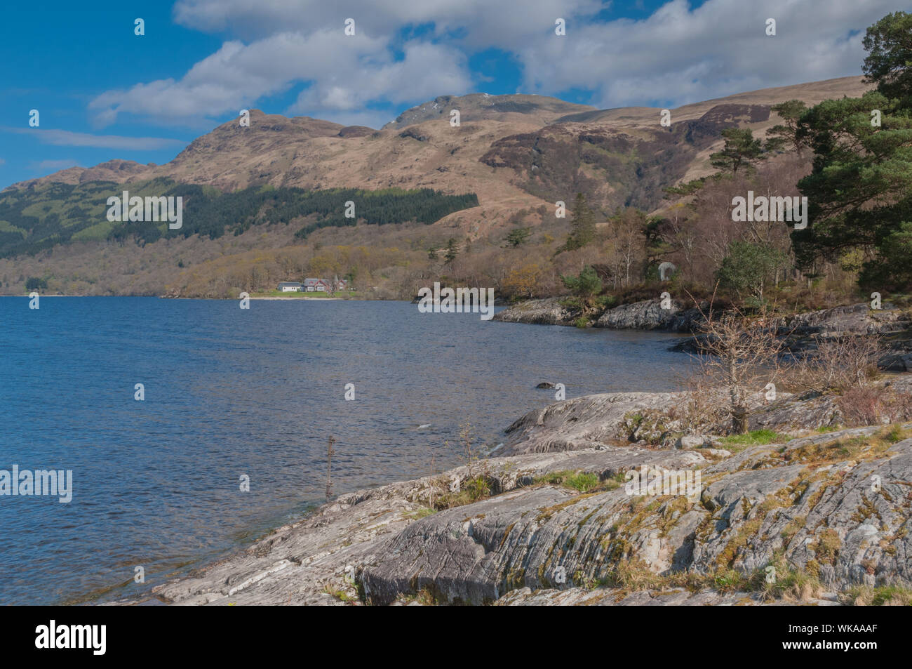 Vue nord sur le Loch Lomond à Rowardennan avec Ben Lomond Stirling, Scotland District Banque D'Images