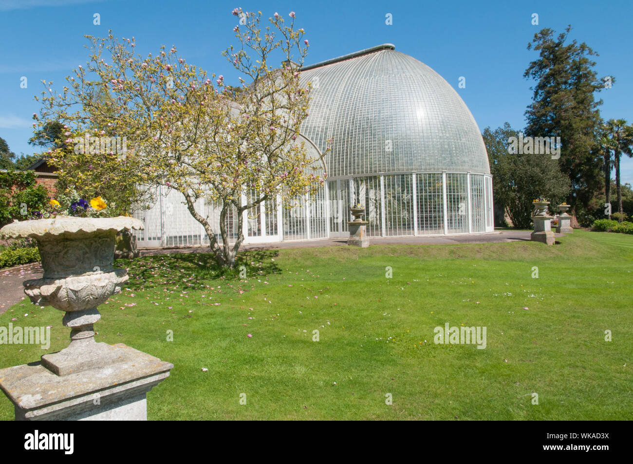 Palm House Bicton Park Gardens Budleigh Salterton Devon, Angleterre Banque D'Images