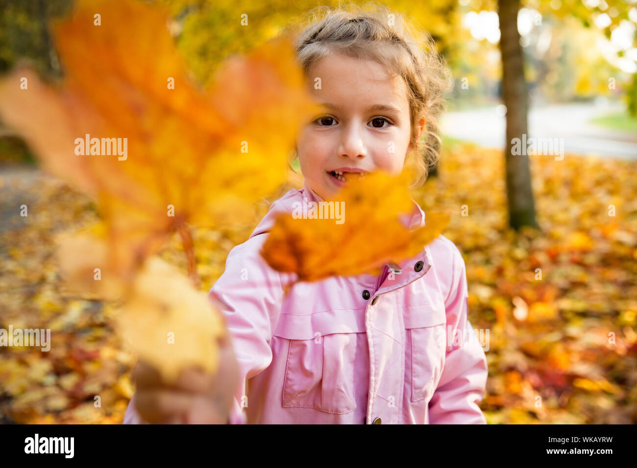 Dents Jaunes Banque D Image Et Photos Alamy