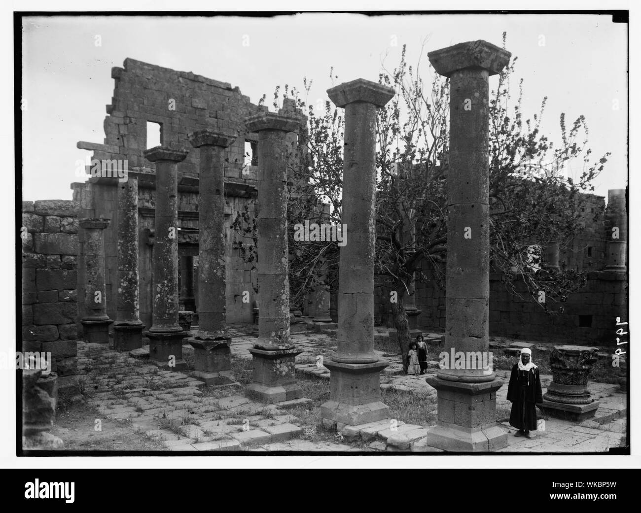 Djebel el-Druzes et Hauran. Kanawat. Colonnade de basilique romaine Banque D'Images