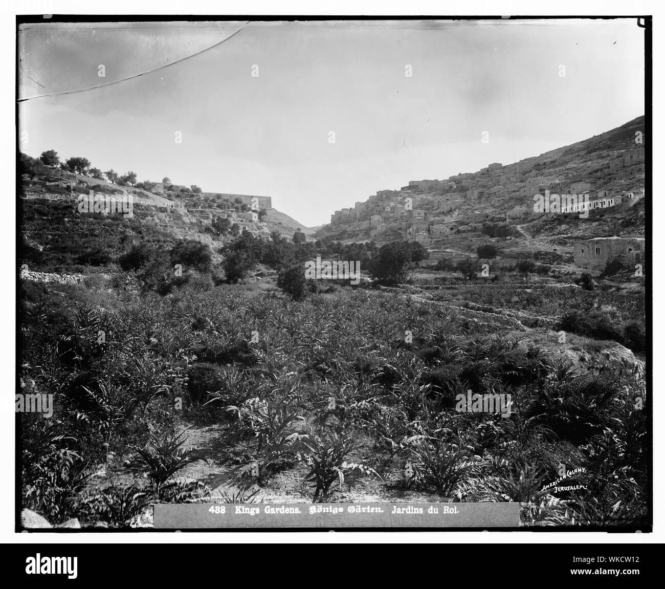Jérusalem (El-Kouds). Jardins des rois Banque D'Images