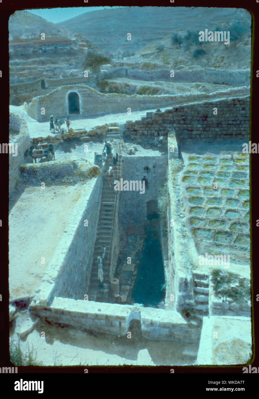 Jérusalem. Piscine de Siloé. Jean 9:7 Banque D'Images