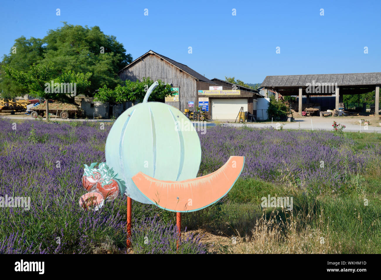 Annonce routière ou l'annonce d'un melon, avec champ de lavande et ferme dans la vallée de l'Asse Alpes de Haute Provence Provence France Banque D'Images