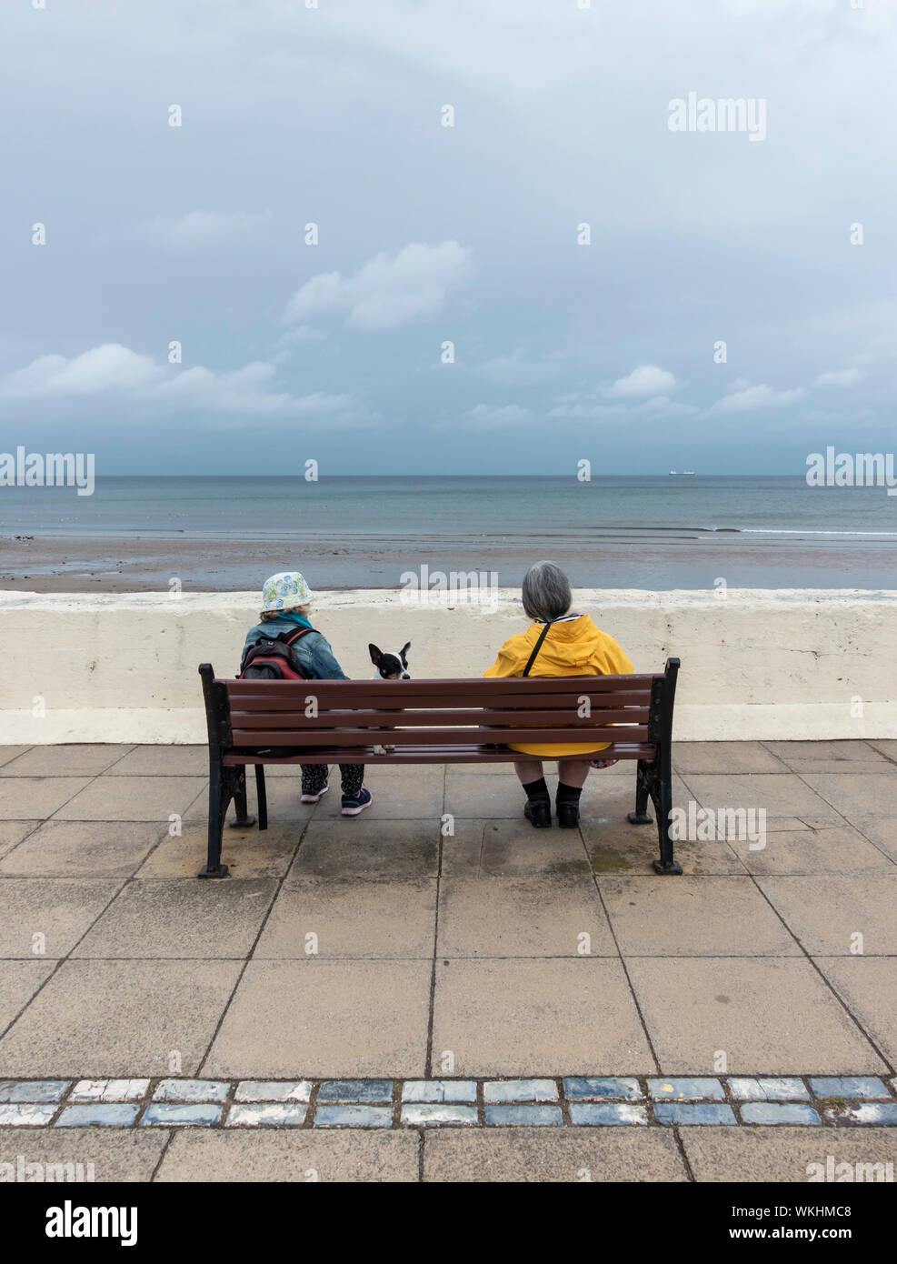 Vue arrière des deux femmes mûres et chien assis sur son fauteuil avec vue sur la mer du Nord sur un jour nuageux à Saltburn by the sea, North Yorkshire, Angleterre. UK Banque D'Images