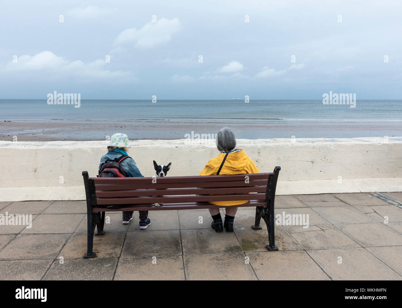 Vue arrière des deux femmes mûres et chien assis sur son fauteuil avec vue sur la mer du Nord sur un jour nuageux à Saltburn by the sea, North Yorkshire, Angleterre. UK Banque D'Images