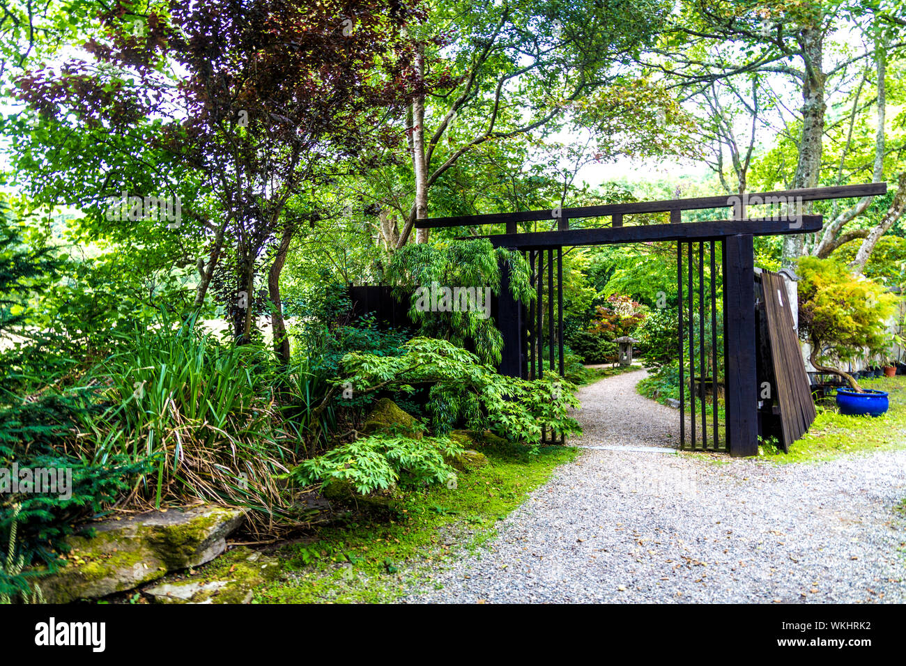 Le Jardin Japonais à St Mawgan, Cornwall, UK Banque D'Images