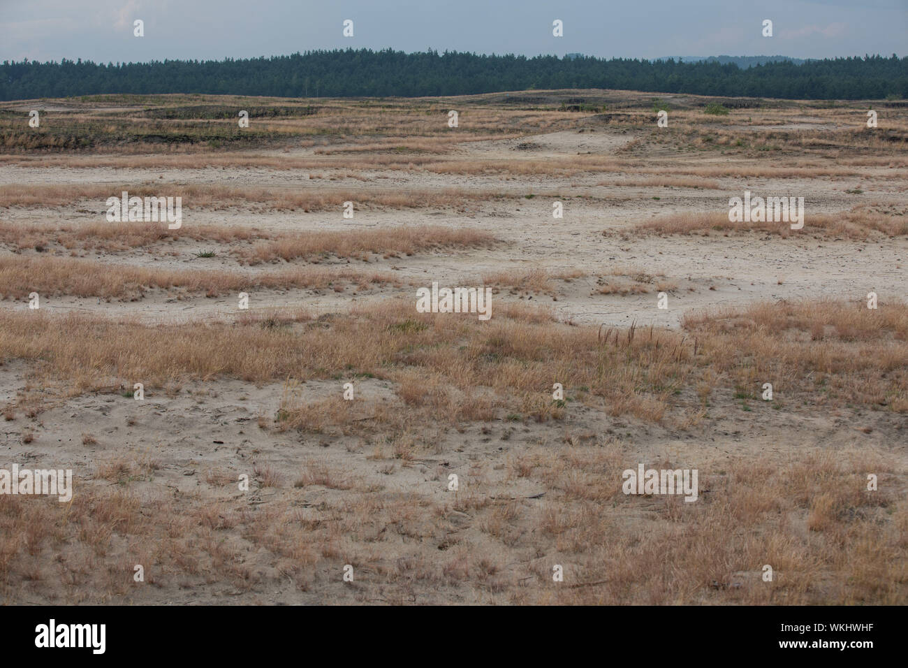 Désert Bledowska Bledow (Warszawa) domaine de l'exploitation des sables bitumineux sur les hautes terres de Silésie dans la voïvodie de Petite-Pologne. Banque D'Images