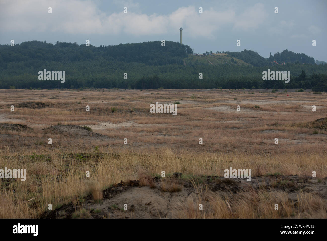 La Pologne, BLEDOW 14 JUILLET 2019 : Désert Bledowska Bledow (Warszawa) domaine de l'exploitation des sables bitumineux sur les hautes terres de Silésie dans la voïvodie de Petite-Pologne Banque D'Images