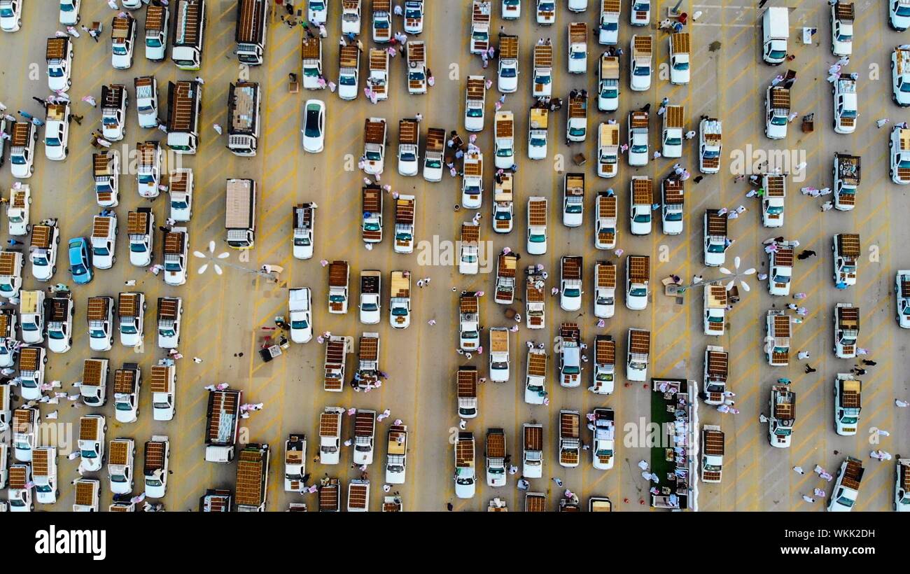 (190904) -- BURAYDAH, le 4 septembre 2019 (Xinhua) -- véhicules chargés de recueillir les dates de saison à un jour sur le marché de la ville de Buraydah, au nord de Riyadh, Arabie saoudite, le 29 août, 2019. Avec les dates de la saison bat son plein en Arabie Saoudite, de nombreuses variétés de dates sont le remplissage de gros et de détail à travers le royaume, qui compte le plus grand nombre de palmiers et de date est le troisième plus gros producteur de dattes fraîches à l'échelle mondiale. Pour aller avec 'caractéristique : plus grand marché dates grouille comme la saison des récoltes bat son plein" (CIC/document via Xinhua) Banque D'Images
