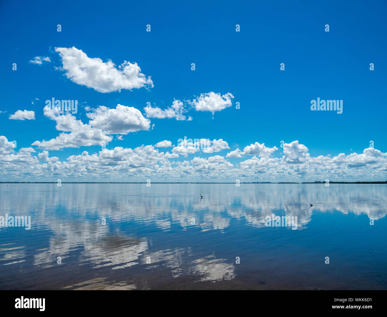 Les nuages blancs dans le ciel bleu se reflétant dans la baie de Sarasota prises de Longboat Key dans le sud-ouest de la Floride Banque D'Images