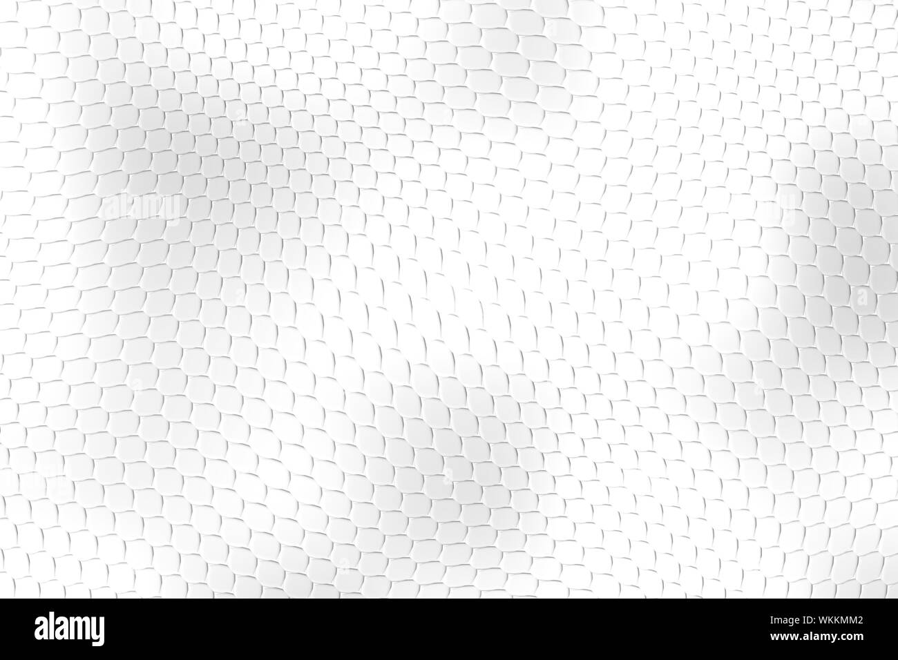 Image d'une peau de reptile belle peau background Banque D'Images