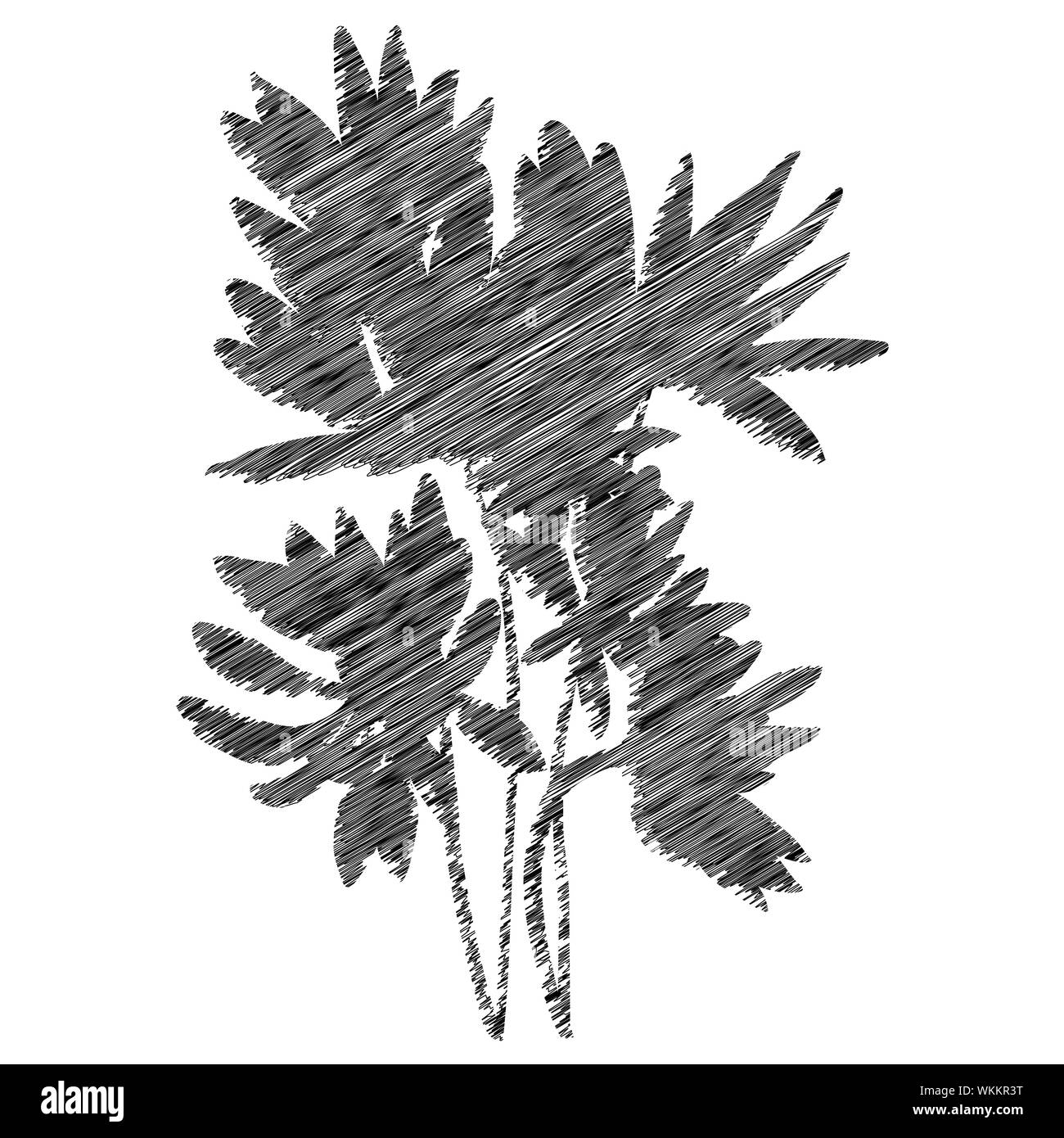 Pochoir fleurs silhouette, esquisse isolated on white Banque D'Images