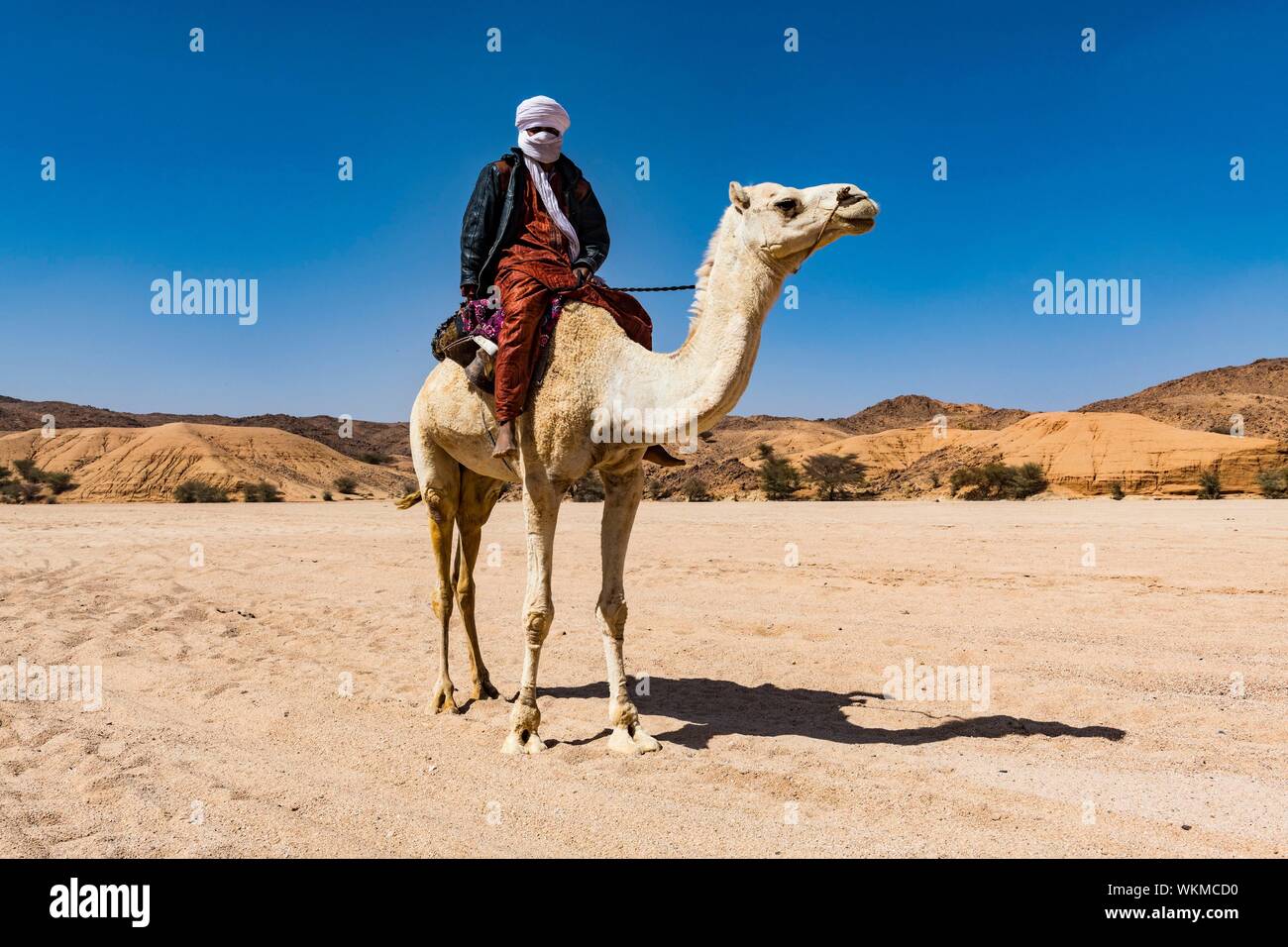 Équitation touareg sur son chameau d'arabie, près de Tamanrasset, Algérie Banque D'Images