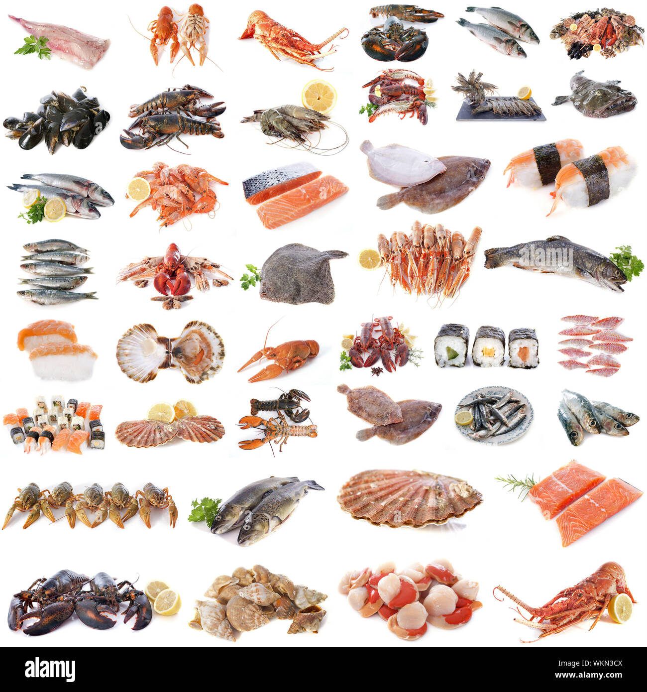 Fruits de mer, poissons et crustacés in front of white background Banque D'Images