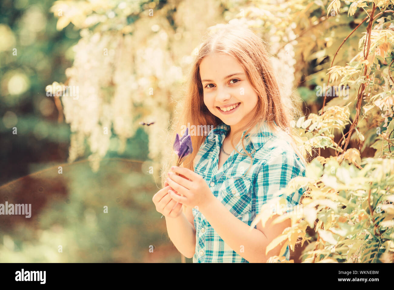 Girl cute adorable teen habillée chemise à carreaux style rustique pays nature background. Jardin d'été fleur. Des fleurs fraîches. La collecte des fleurs dans le champ. L'été est ici. Kid tenir fleurs bouquet. Banque D'Images