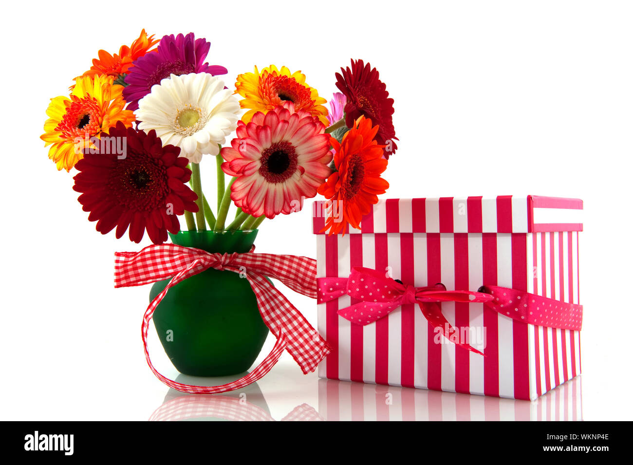 Magnifique bouquet Gerber colorés avec checkerer et ruban présent Banque D'Images