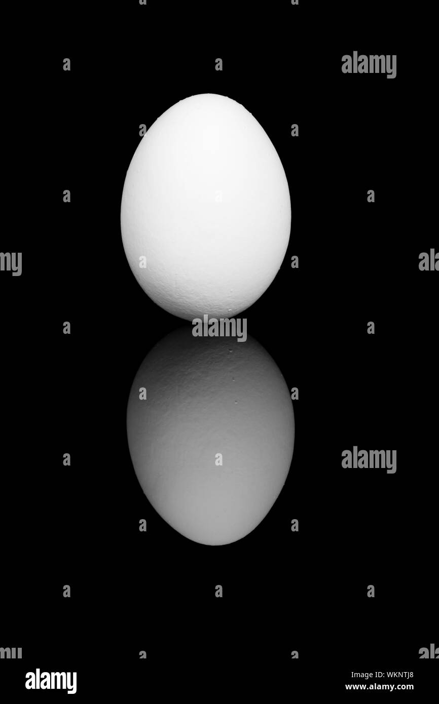 Oeufs blancs sur fond noir avec reflet Banque D'Images
