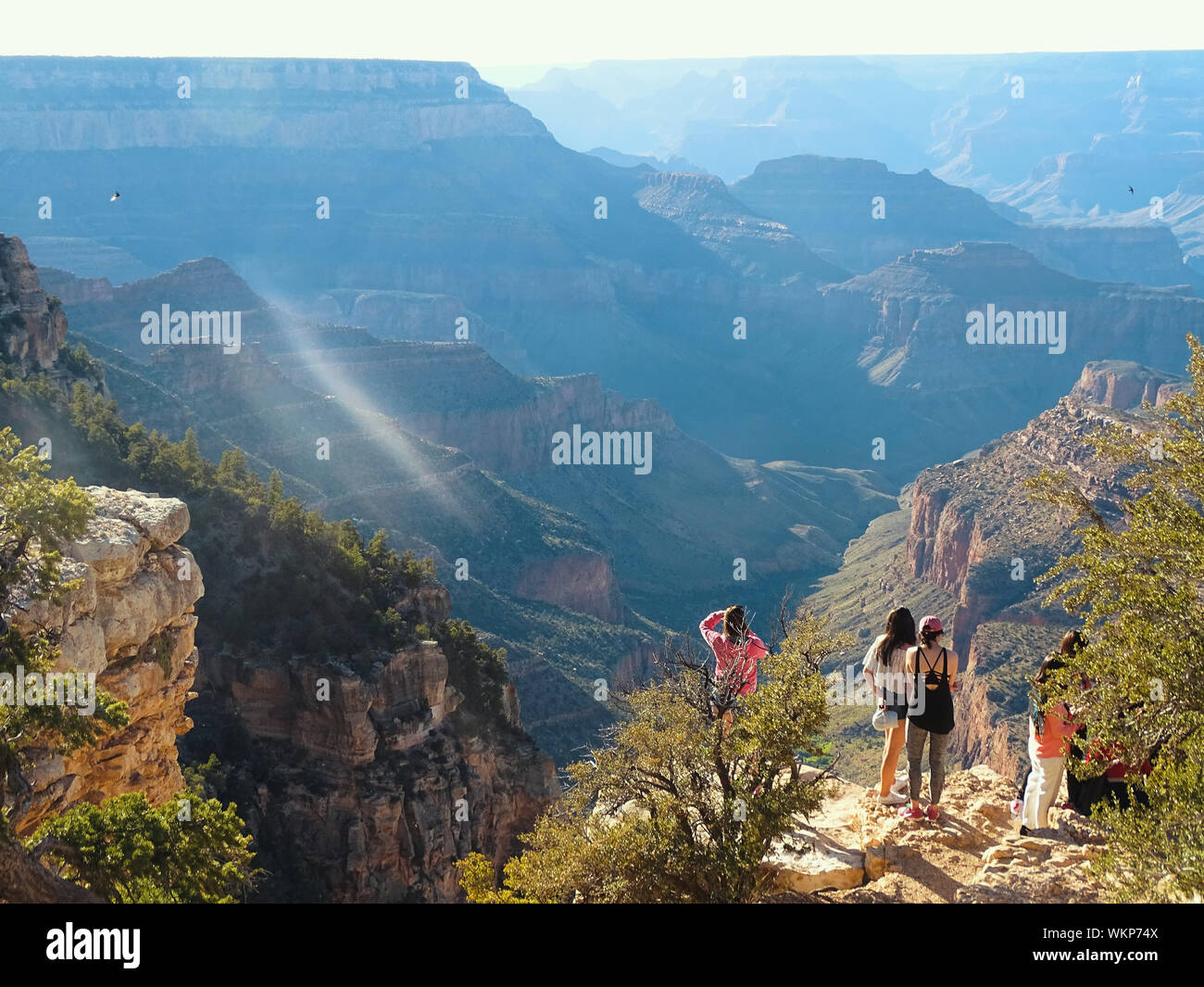 Portrait de gens debout à Grand Canyon National Park Banque D'Images